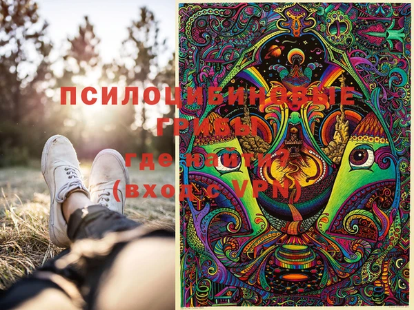 МДПВ Балахна