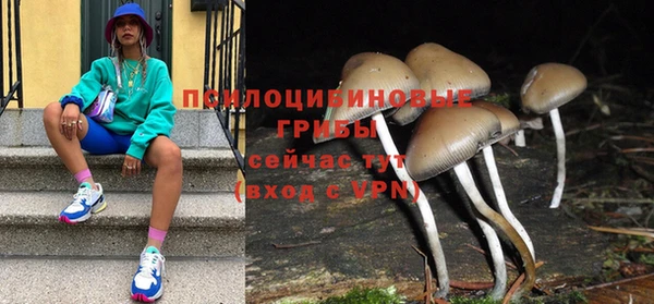 молекула духа Балабаново