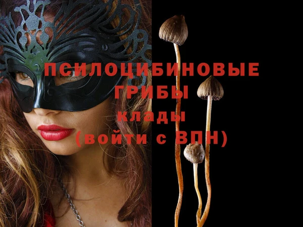 прущие крисы Баксан